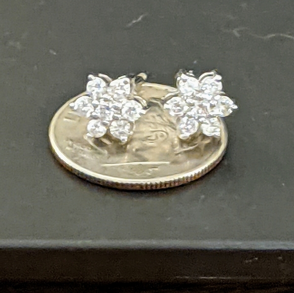 XTRA PICS - Diamond 14kt White Gold Earrings - Picture 7 of 13